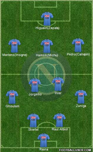 Napoli Formation 2014