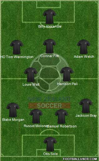 New Zealand Formation 2014