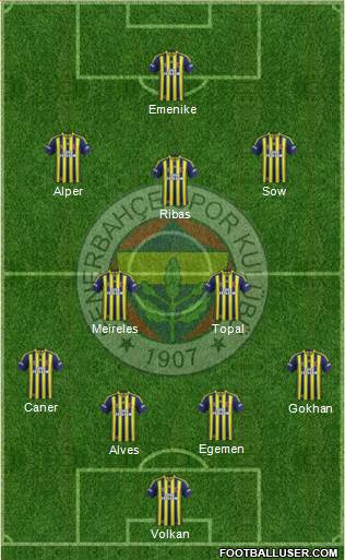 Fenerbahçe SK Formation 2014