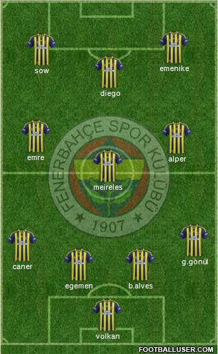 Fenerbahçe SK Formation 2014