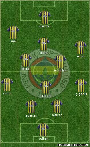 Fenerbahçe SK Formation 2014