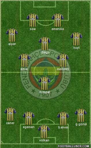 Fenerbahçe SK Formation 2014