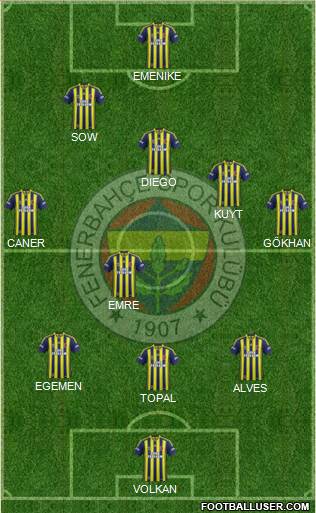 Fenerbahçe SK Formation 2014