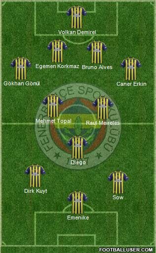Fenerbahçe SK Formation 2014