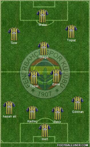 Fenerbahçe SK Formation 2014