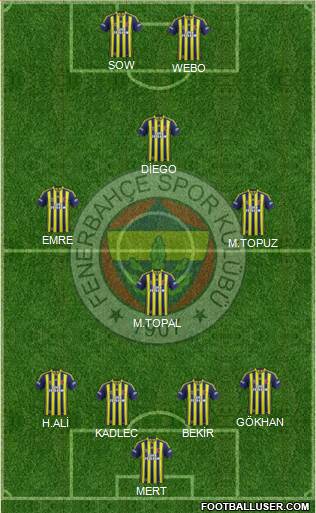 Fenerbahçe SK Formation 2014