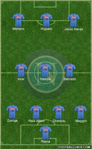 Napoli Formation 2014