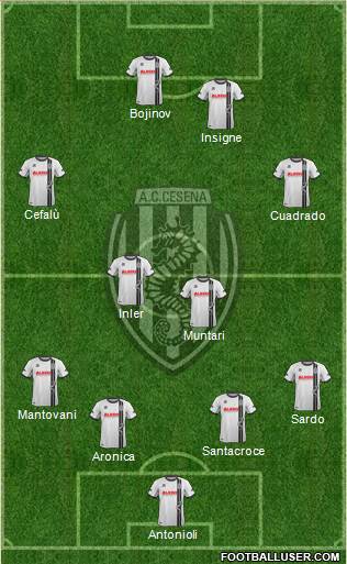 Cesena Formation 2014