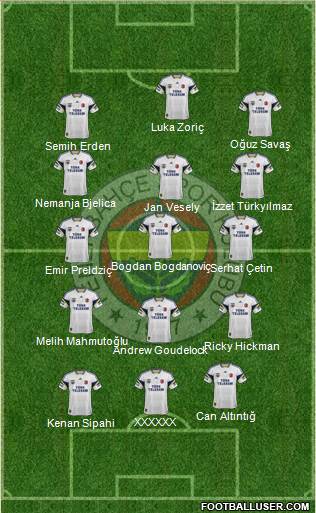 Fenerbahçe SK Formation 2014