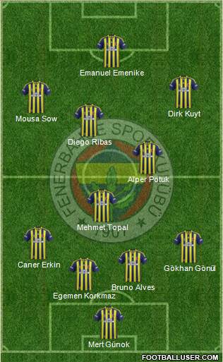 Fenerbahçe SK Formation 2014