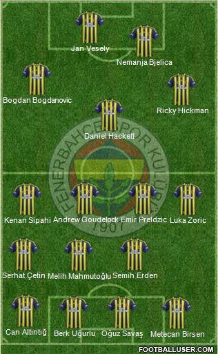 Fenerbahçe SK Formation 2014