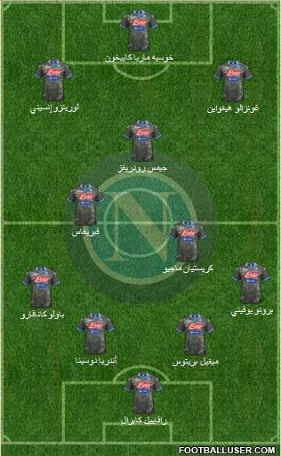 Napoli Formation 2014
