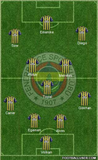 Fenerbahçe SK Formation 2014