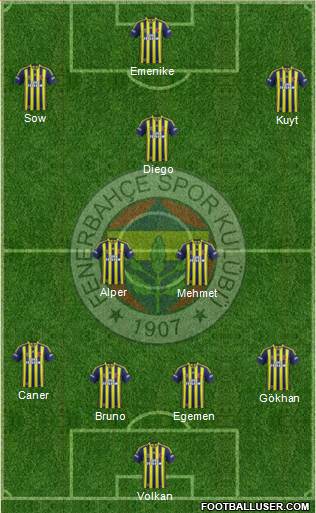 Fenerbahçe SK Formation 2014