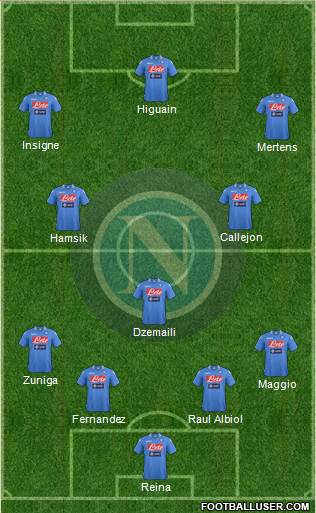 Napoli Formation 2014