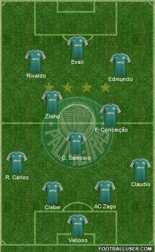SE Palmeiras Formation 2014