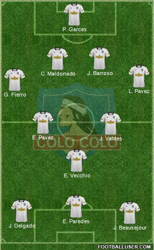 CSD Colo Colo Formation 2014