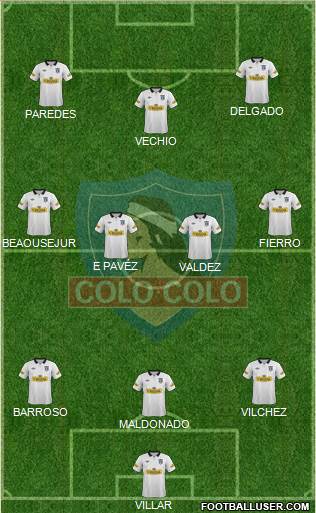 CSD Colo Colo Formation 2014