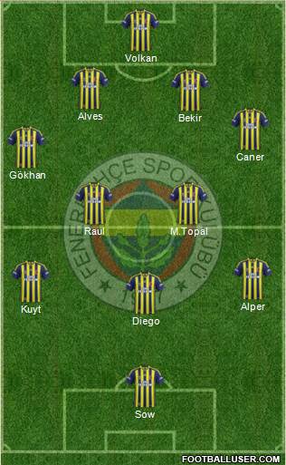 Fenerbahçe SK Formation 2014