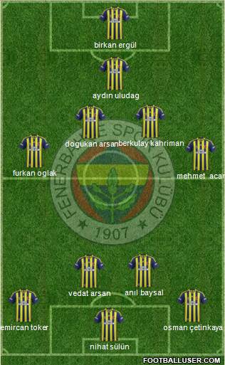 Fenerbahçe SK Formation 2014
