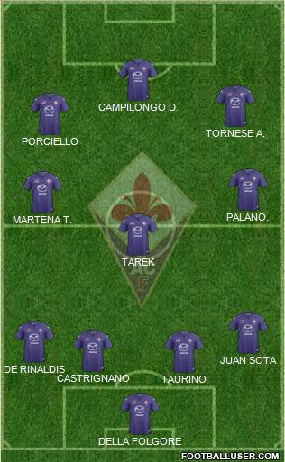 Fiorentina Formation 2014