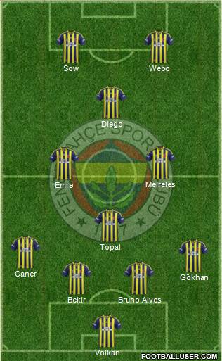 Fenerbahçe SK Formation 2014