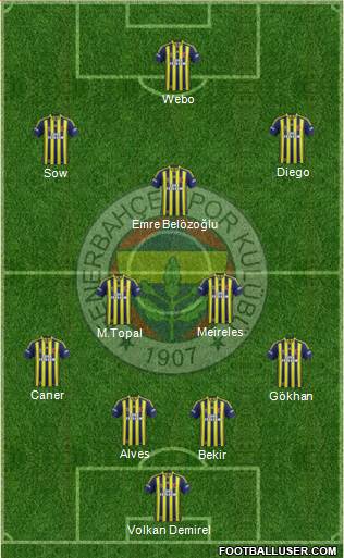 Fenerbahçe SK Formation 2014