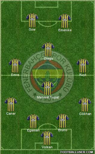 Fenerbahçe SK Formation 2014