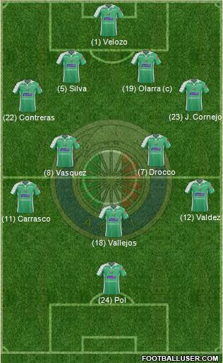CD Audax Italiano de La Florida S.A.D.P. Formation 2014