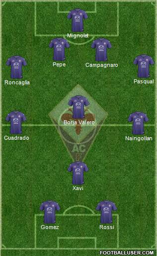 Fiorentina Formation 2014