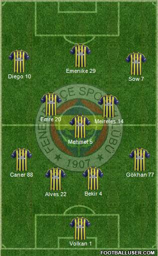 Fenerbahçe SK Formation 2014