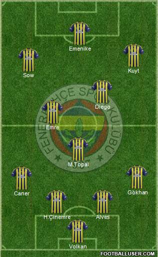 Fenerbahçe SK Formation 2014