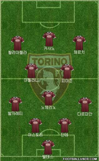 Torino Formation 2014