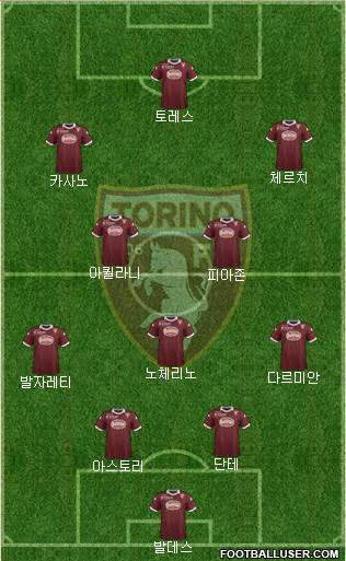 Torino Formation 2014