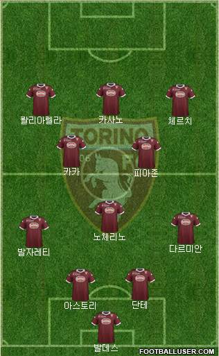 Torino Formation 2014