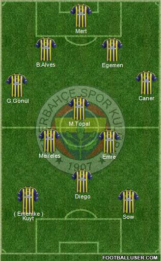 Fenerbahçe SK Formation 2014