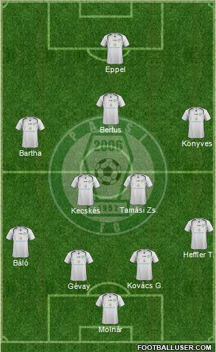 Paksi SE Formation 2014