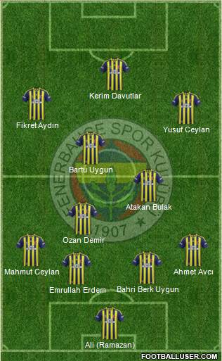 Fenerbahçe SK Formation 2014