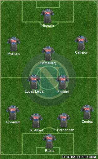 Napoli Formation 2014