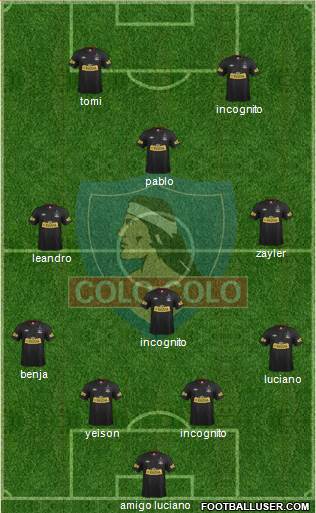 CSD Colo Colo Formation 2014