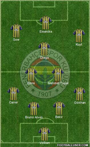Fenerbahçe SK Formation 2014
