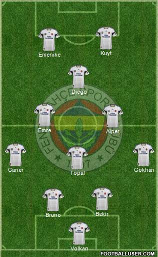 Fenerbahçe SK Formation 2014