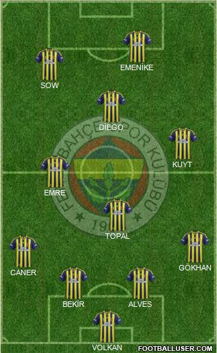 Fenerbahçe SK Formation 2014