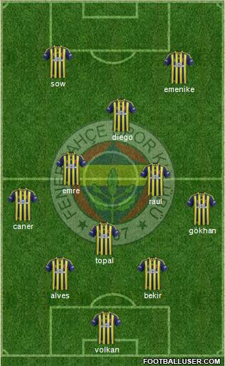 Fenerbahçe SK Formation 2014