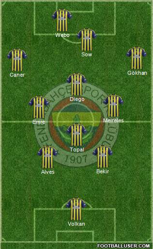 Fenerbahçe SK Formation 2014