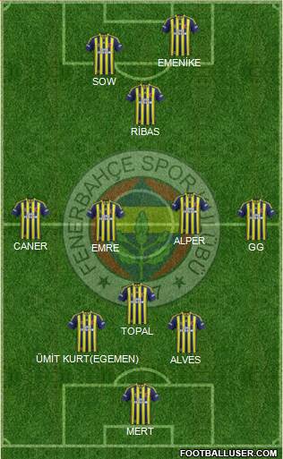 Fenerbahçe SK Formation 2014