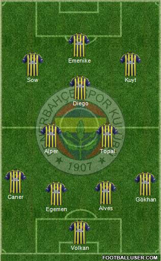 Fenerbahçe SK Formation 2014
