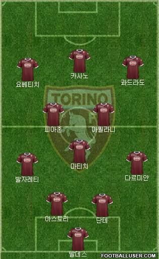 Torino Formation 2014