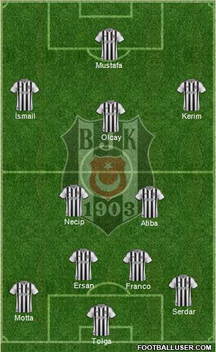 Besiktas JK Formation 2014