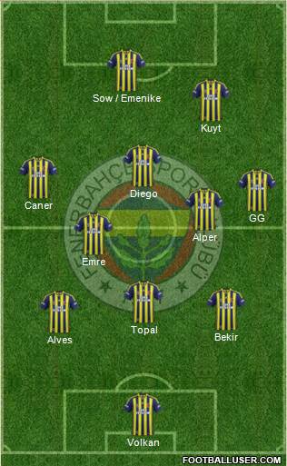 Fenerbahçe SK Formation 2014